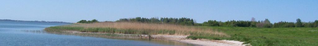Pfingsten 2008 017-2